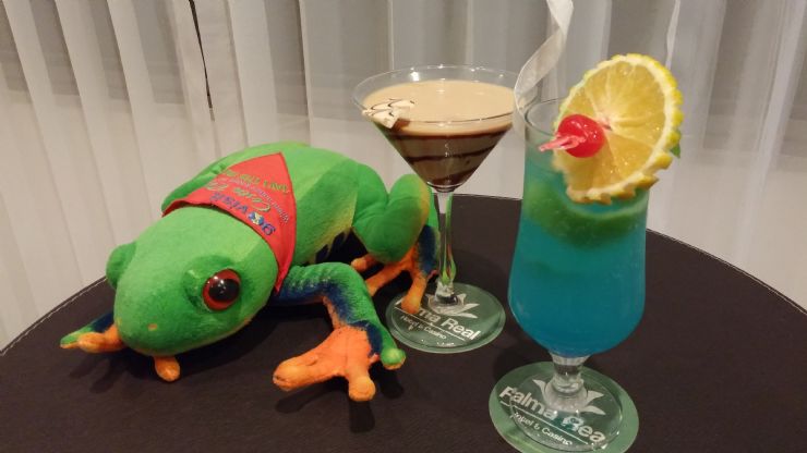 Javi the Frog having some refreshing drinks at Palma Real Hotel Bar