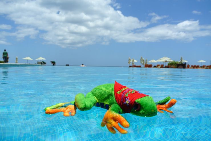 Javi the Frog having fun at JW Marriott Guanacaste amazing pool
