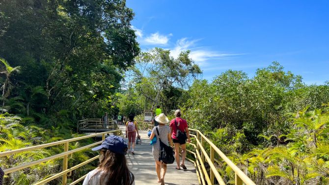 Walking along the raised trail in Manuel Antonio National Park
