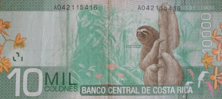 Costa Rican Ten Thousand Colones - Back of Bill with Sloth in the Rain Forest