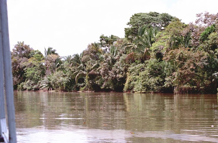 Ca�o Negro River