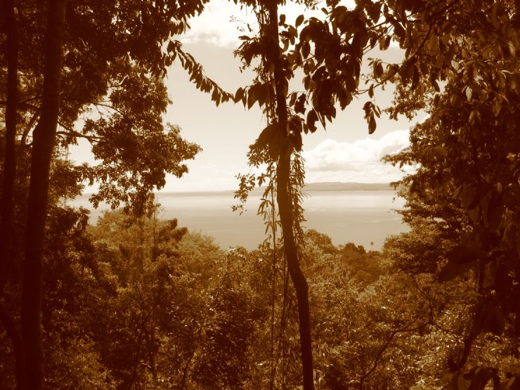 Ocean View