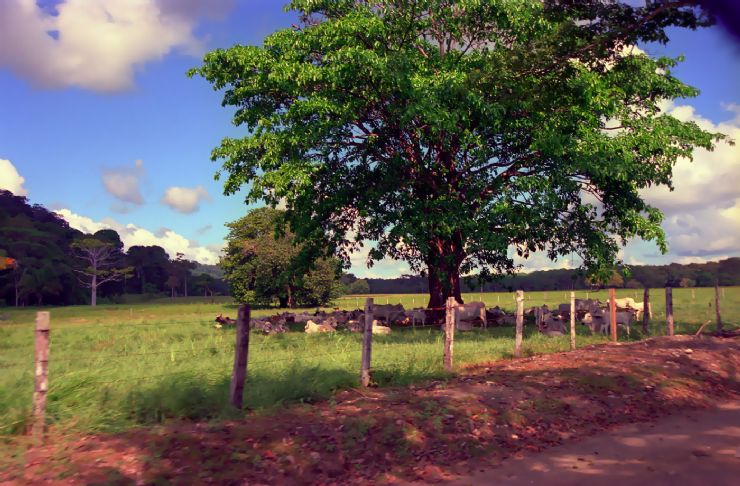 Ranch at Matapalo