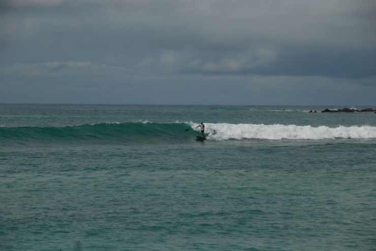 Paddleboarder catching wave at Backwash