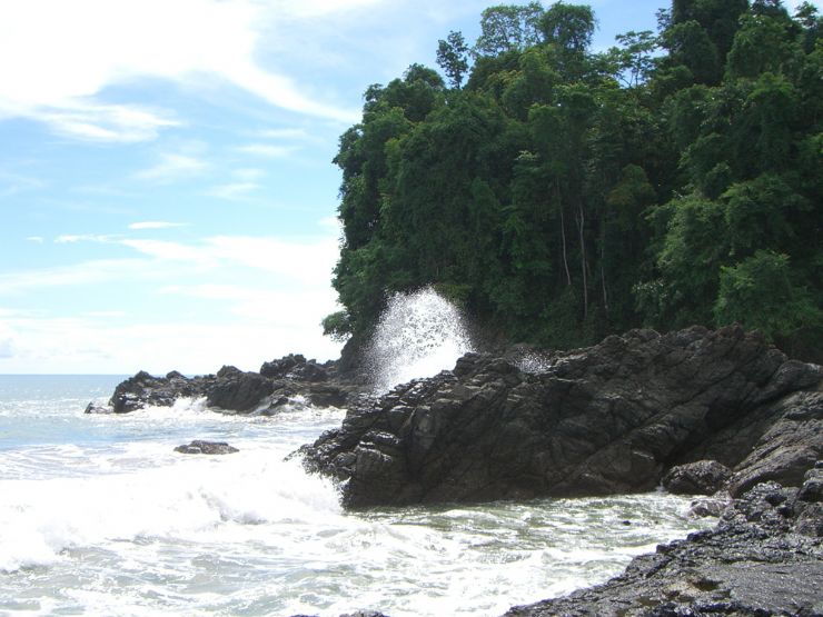 Reef and Forest at Entrance to Ballena National Marine Park