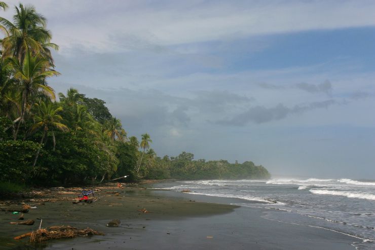 Cahuita Coastline