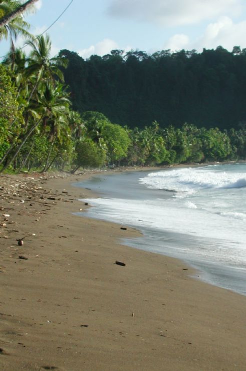 Drake Bay Beach
