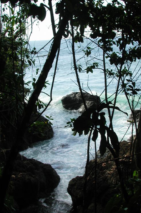 Cove in Drake Bay