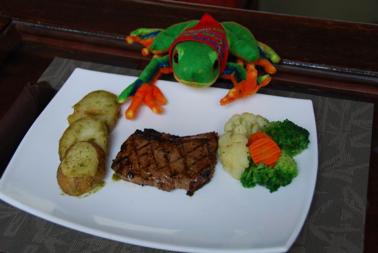 Javi the Frog eating fresh fish meal at Iguana Verde Bed and Breakfast