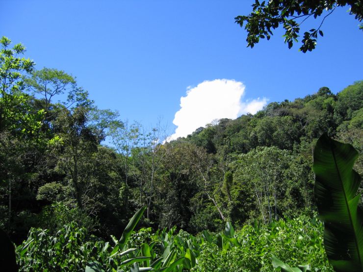 Piedras Blancas National Park