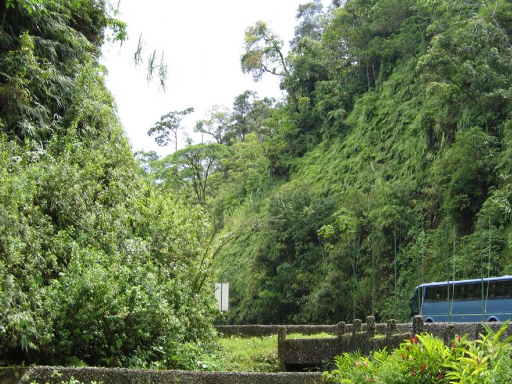 Road through Brauilo Carrillo