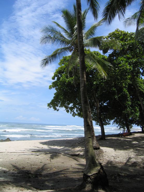 Short Course at Santa Teresa Image