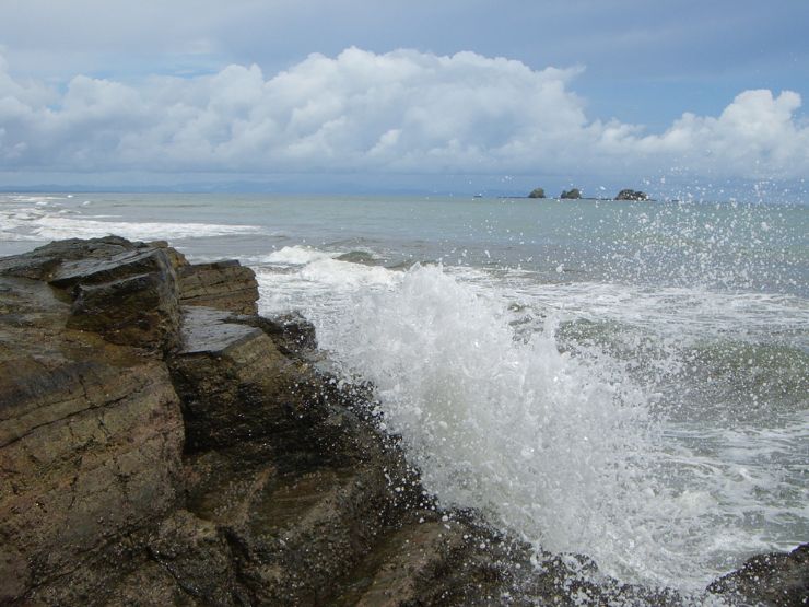 Reef to Ocean at Ballena National Marine Park