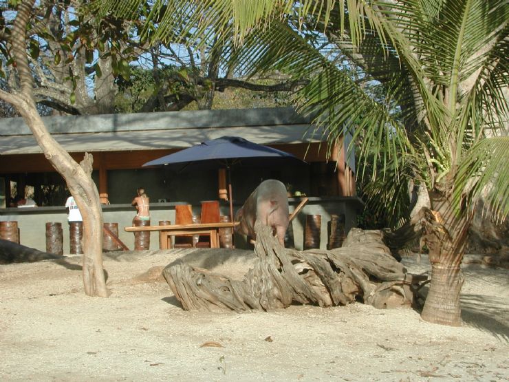 Playa Avallana Bar Scene