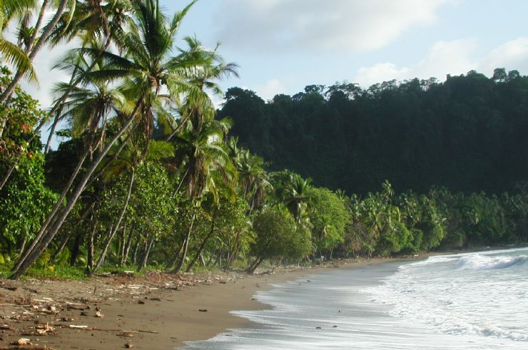 Walking along Playa San Josecito in Drake Bay