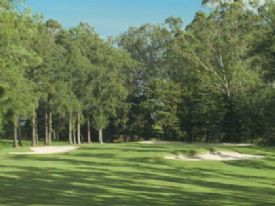 Cariari Country Club 17 hole