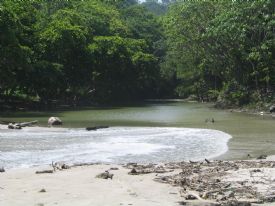 Estuary in Mal Pais&nbsp;-&nbsp;Mal Pais, North Puntarenas