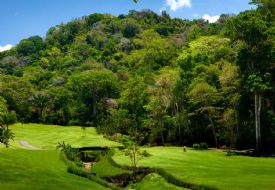 La Iguana Golf Course at the Los Sue�os Marriott - 4th Hole
