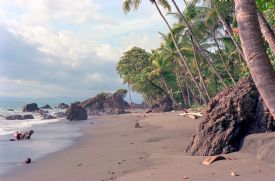 Pavones Tropical Beach