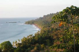 View from above Playa San Josecito, South Drake Bay