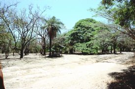 Remote Campground at Playa Naranjo / Witches Rock in Santa Rosa National Park