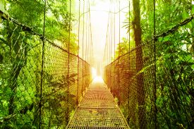 Beautiful hanging bridge in Arenal Ecological Reserve&nbsp;-&nbsp;Arenal Volcano National Park, Alajuela