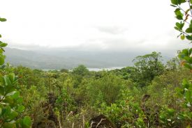 Beautiful view of Arenal Lake at Arenal Volcano Natl. Park&nbsp;-&nbsp;Arenal Volcano National Park, Alajuela