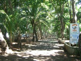 Beachfront Street in Playa Dominical&nbsp;-&nbsp;Dominical, South Puntarenas
