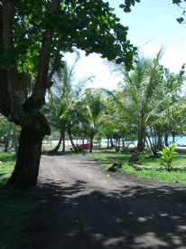 Manzanillo Beach Road&nbsp;-&nbsp;Manzanillo, Limon