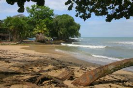 Cahuita Beach