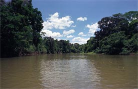 The beautiful Ca�o Negro River&nbsp;-&nbsp;Ca�o Negro National Wildlife Refuge, Alajuela