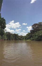 Looking down Ca�o Negro River&nbsp;-&nbsp;Ca�o Negro National Wildlife Refuge, Alajuela