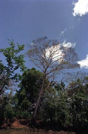 Ca�o Negro River Trip&nbsp;-&nbsp;Ca�o Negro National Wildlife Refuge, Alajuela