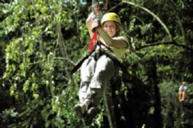 Canopy Tour Adrenaline