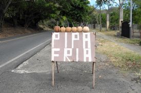 Cold Coconut Water street sign on Jaco&nbsp;-&nbsp;Jaco, North Puntarenas