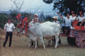 Costa Rica Ox Cart & Costa Rican family in traditional clothes&nbsp;-&nbsp;Sarchi, Alajuela