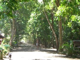 Hot Day at Playa Dominical&nbsp;-&nbsp;Dominical, South Puntarenas