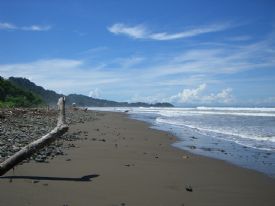 Driftwood on Playa Dominical&nbsp;-&nbsp;Dominical, South Puntarenas