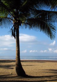 Early calm morning in Jaco&nbsp;-&nbsp;Jaco, North Puntarenas