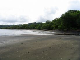 Estuary Playa Panama&nbsp;-&nbsp;Playa Panama, Guanacaste