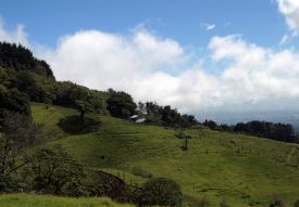Foothills near Barva Volcano&nbsp;-&nbsp;Braulio Carrillo National Park, Heredia