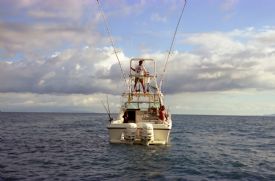 Deep Sea Fishing off of Golfito&nbsp;-&nbsp;Golfito, South Puntarenas