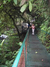 Bridge at La Paz Waterfall&nbsp;-&nbsp;Po�s Volcano National Park, Alajuela
