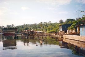 Isla Colon from the waterways in the Bocas del Toro, Panama