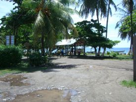 Local Bus Stop in Manzanillo&nbsp;-&nbsp;Manzanillo, Limon