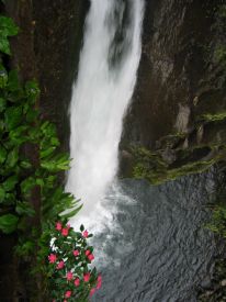 Looking Down La Paz Waterfall&nbsp;-&nbsp;Po�s Volcano National Park, Alajuela