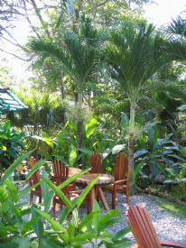 Tropico Latino Hotel Mal Pais&nbsp;-&nbsp;Mal Pais, North Puntarenas