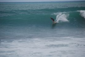 Awesome Surfing at Backwash in Matapalo