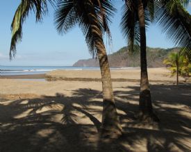 Palm shadow on the beach in Jaco