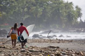 Pavones Surfers